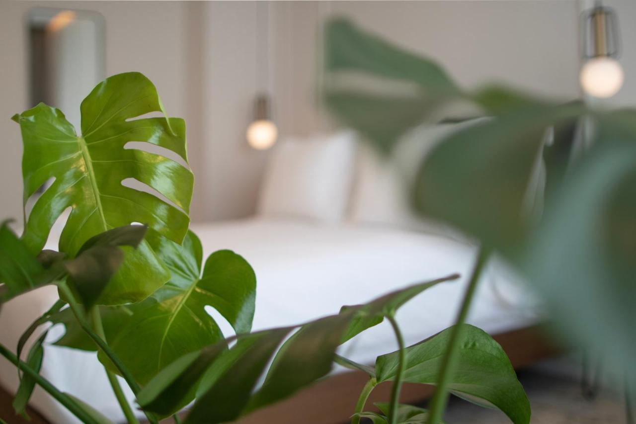 Mythodea Athens Suites 외부 사진