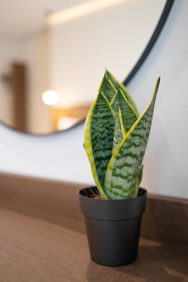 Mythodea Athens Suites 외부 사진
